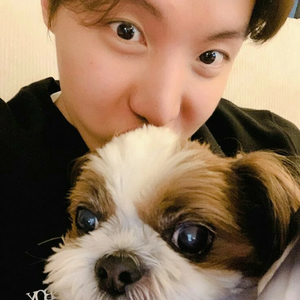 hopeverse profile image