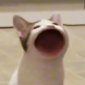 이도담 profile image