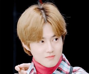 domonxoxo11 profile image