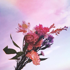 ayishlouise1127 profile image