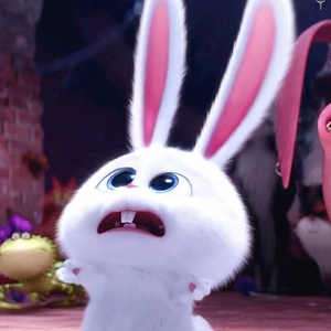 물음뾰 profile image