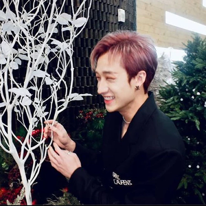 MikaVB profile image