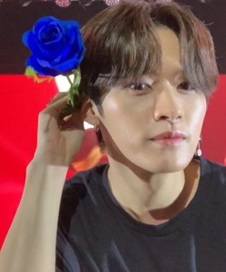 minobobbo profile image