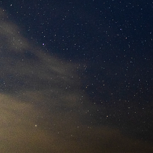 리기링 profile image