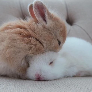 심다윤 profile image