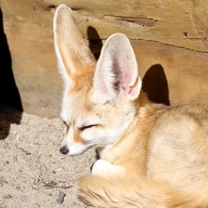 세랑해럿랑해 profile image