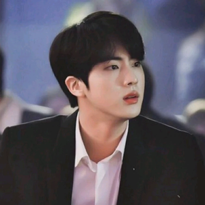 김석진니가나라다 profile image