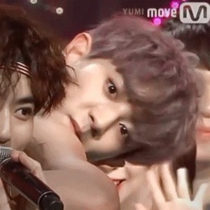 pc y1010 profile image