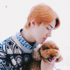 dddddosh profile image