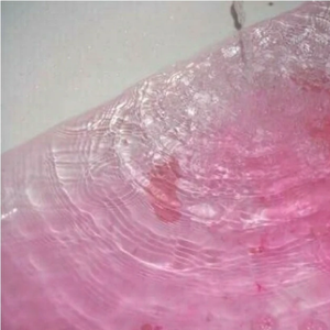 305406106 profile image