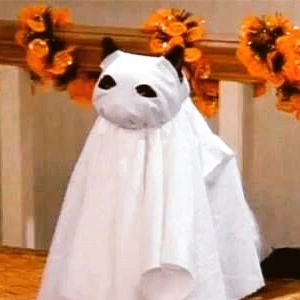 HanFanplus3 profile image