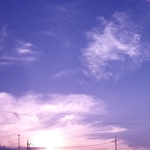 연하늘 profile image