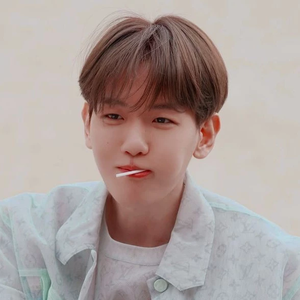 baekdungbeetle profile image