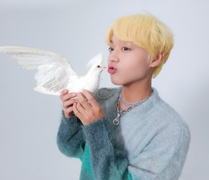 훈지박지후니 profile image