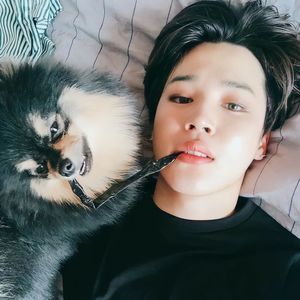 anafran7 profile image