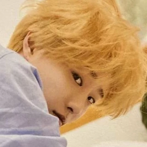 갈몽55 profile image