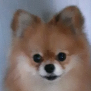 아리공주 profile image