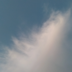 lawe23 profile image