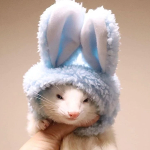 한태인 profile image