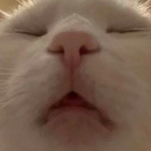 ＡＲＭＹＪＩＮ profile image