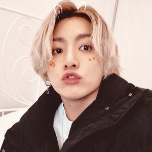 namybear profile image