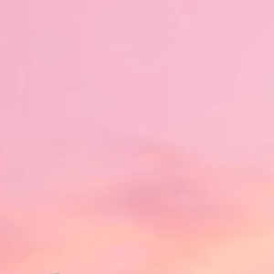 springreen profile image