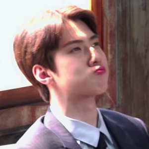 sehunX profile image