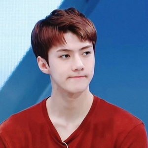 四月5Sehun profile image