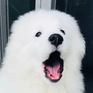 jjeolb profile image