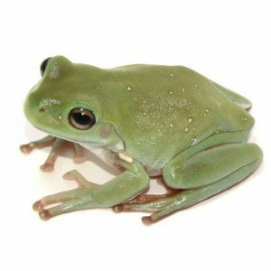 vjoook profile image