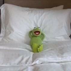 계정와사삭되버린캐미 profile image