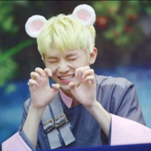 보보쥬아 profile image