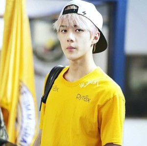 喝一杯勋味烧酒1 profile image