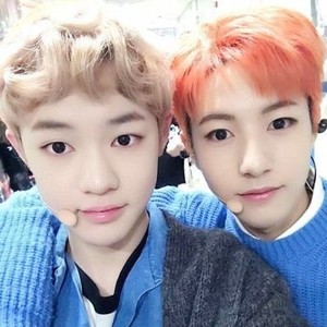 puppyhrj profile image