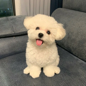 곰돌이뿌 profile image