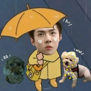 曲奇饼干3 profile image