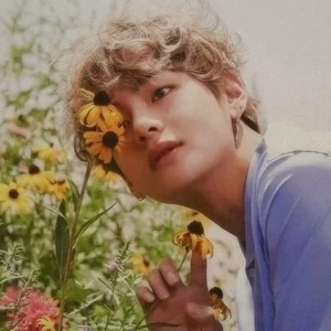 diaaalc profile image