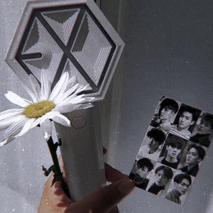 suholover0112 profile image