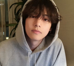 게으른너구리 profile image