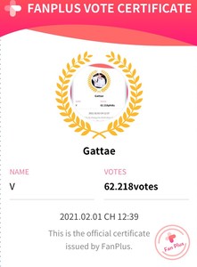 Gattae profile image