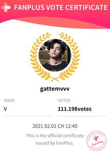 gattemvvv profile image