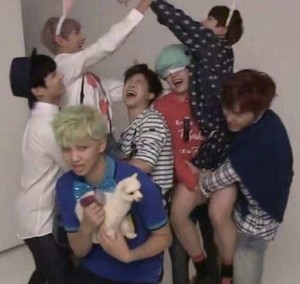 613bass profile image