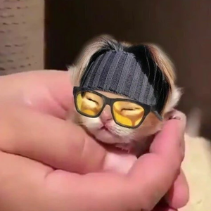 쿔미 profile image