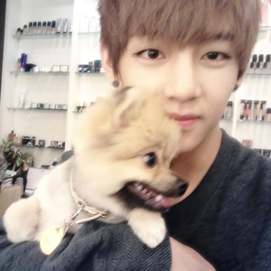 hphile profile image