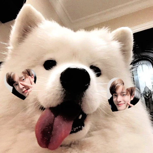 ENHiFRIEND profile image