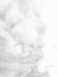 찜덕 profile image