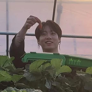 TeoxVante profile image