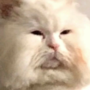 민슈가아아 profile image