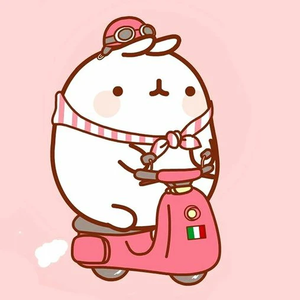 마늘빵0302 profile image