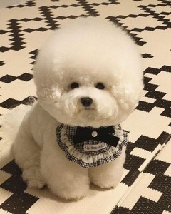 동화률률 profile image